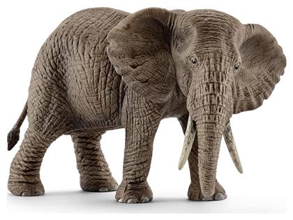 Schleich-S Παιχνίδι Μινιατούρα Wild Life African Elephant Female για 3+ Ετών από το GreekBooks