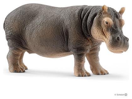 Schleich-S Παιχνίδι Μινιατούρα Wild Life Hippopotamus για 3+ Ετών