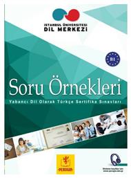 SORU ORNEKLERI B1