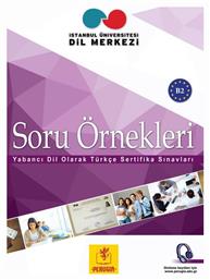 SORU ORNEKLERI B2