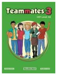 Teammates 3 A2 Grammar