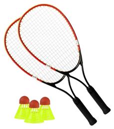 Techm speedminton set