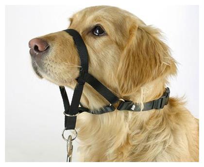 Trixie Top Trainer Φίμωτρο Σκύλου Εκπαιδευτικό με Ζώνη Λαιμού XLarge 46cm