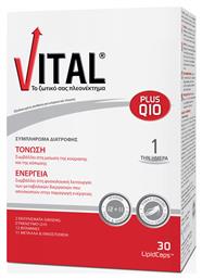 Vital Plus Q10 Βιταμίνη για Ενέργεια & Ανοσοποιητικό 10mg 30 μαλακές κάψουλες από το Pharm24