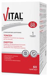 Vital Plus Q10 Βιταμίνη για Ενέργεια & Ανοσοποιητικό 10mg 60 μαλακές κάψουλες από το Pharm24