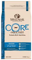 Wellness Core Ocean