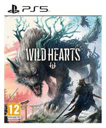 Wild Hearts